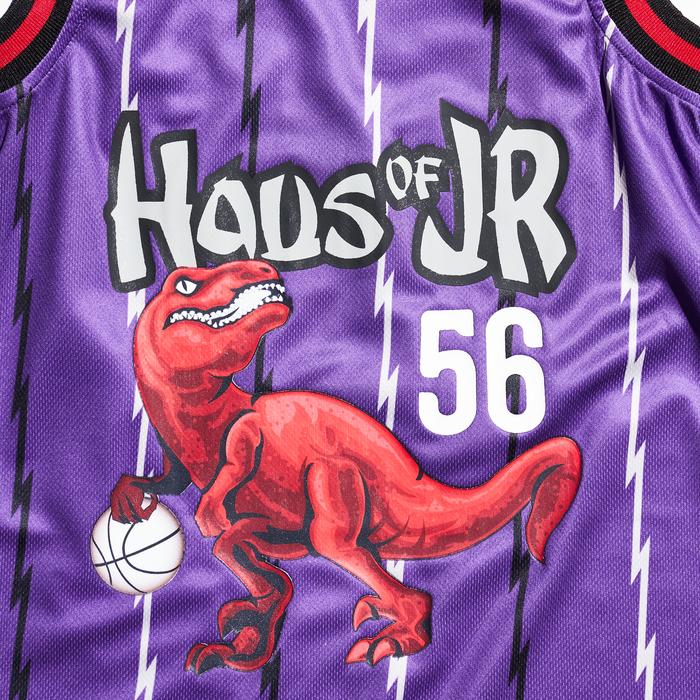 VINCE BASKETBALL JERSEY